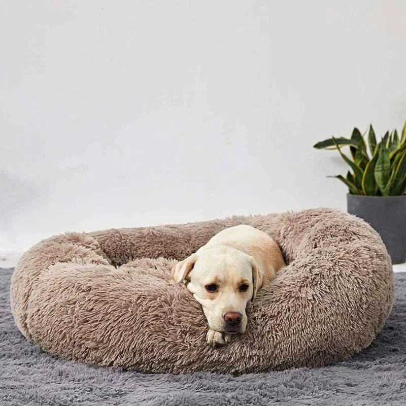 MellowPurr Cozy Paws Bed | Ultra-Soft Comfort