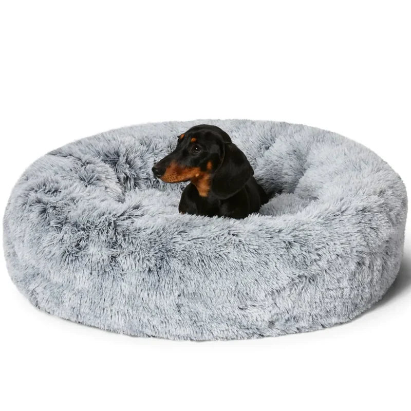 MellowPurr Cozy Paws Bed | Ultra-Soft Comfort