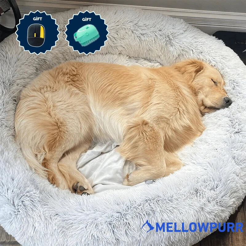 MellowPurr Cozy Paws Bed | Ultra-Soft Comfort