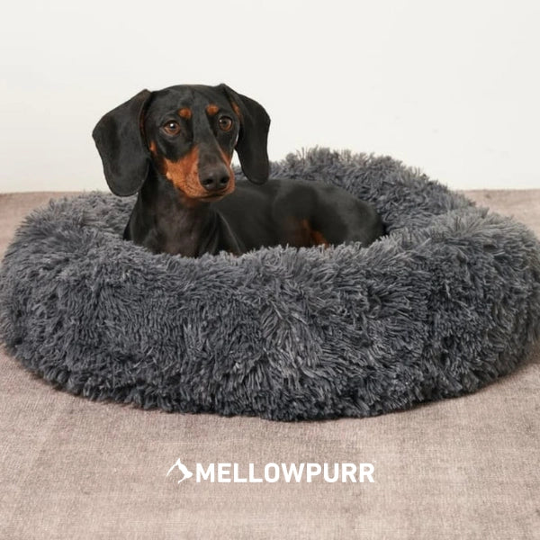 MellowPurr Cozy Paws Bed | Ultra-Soft Comfort